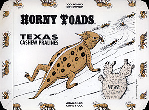 Horned Lizard Candy Box